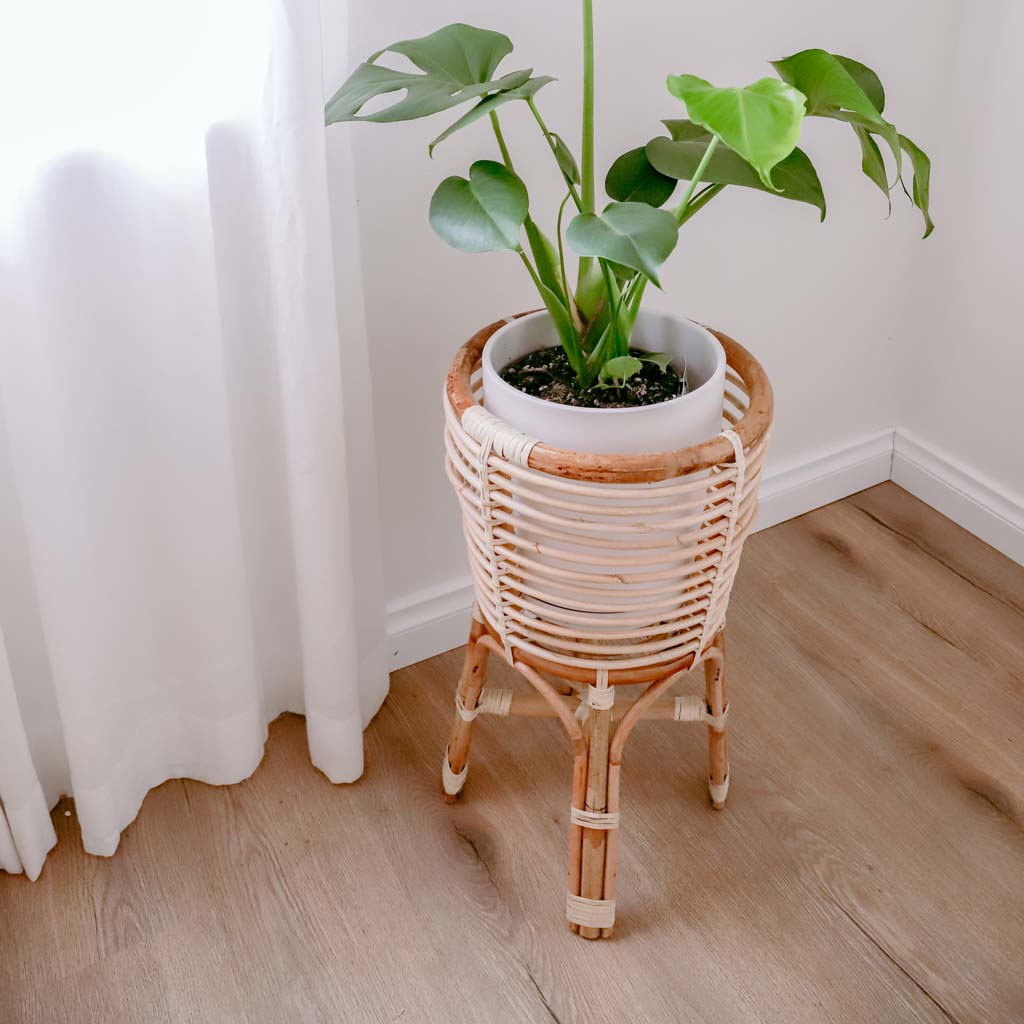 rattan pot plant holders Rattan Plant Stand