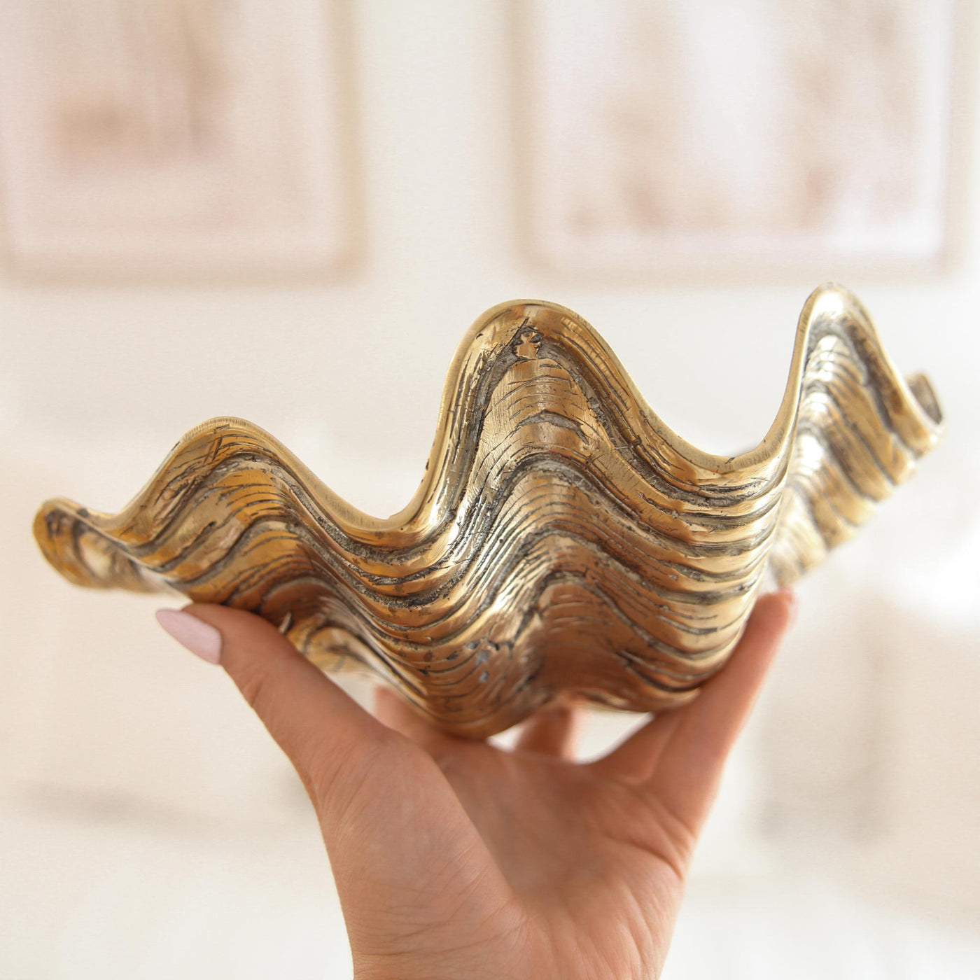 Brass Clam Shell Decoration