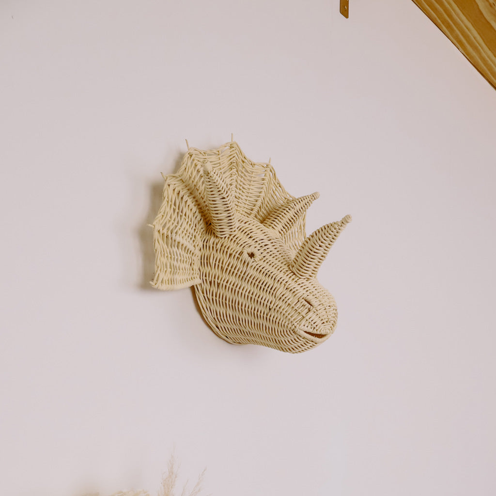 Darcy Dinosaur Rattan Head Wall Decor